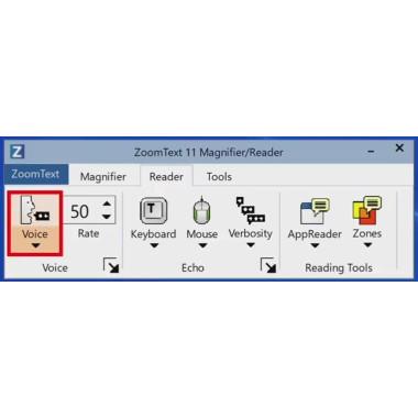 Zoomtext V11.2.x Magnifier / Reader - USB