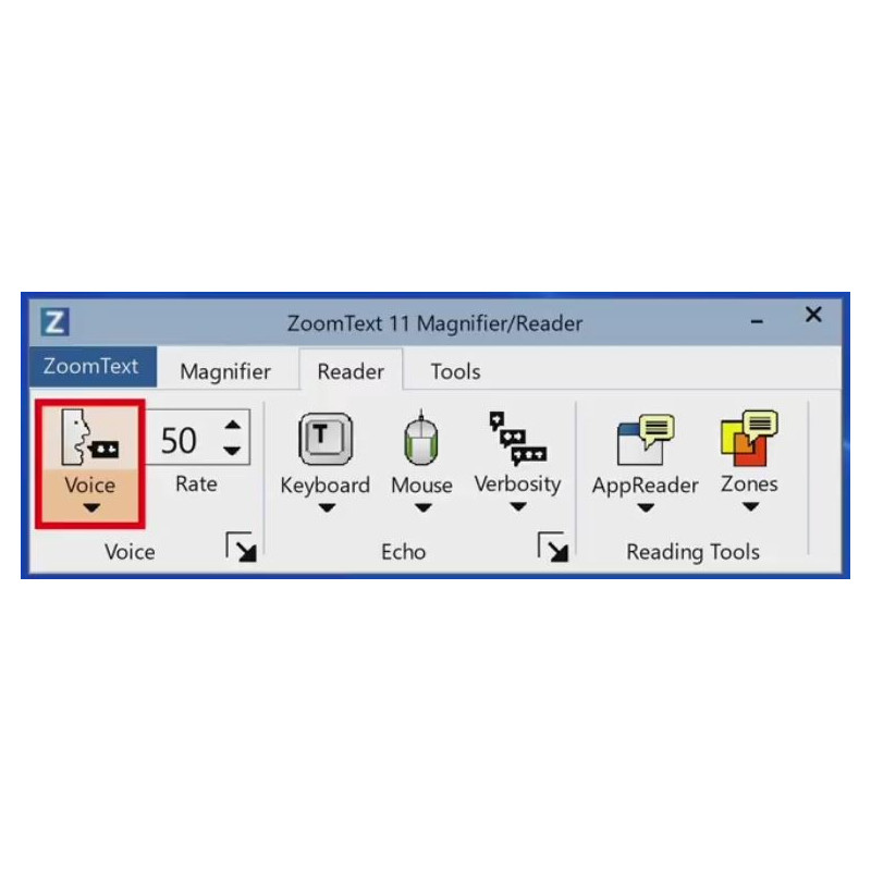 Zoomtext V11.2.x Magnifier / Reader - USB